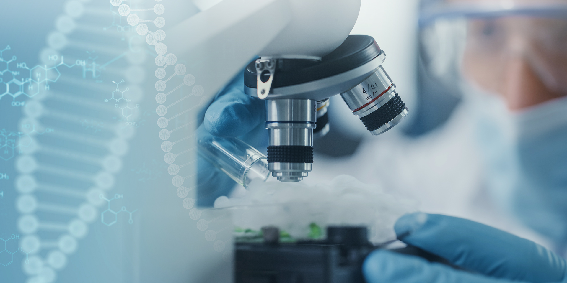 少妇BBB搡BBBB搡BBBB