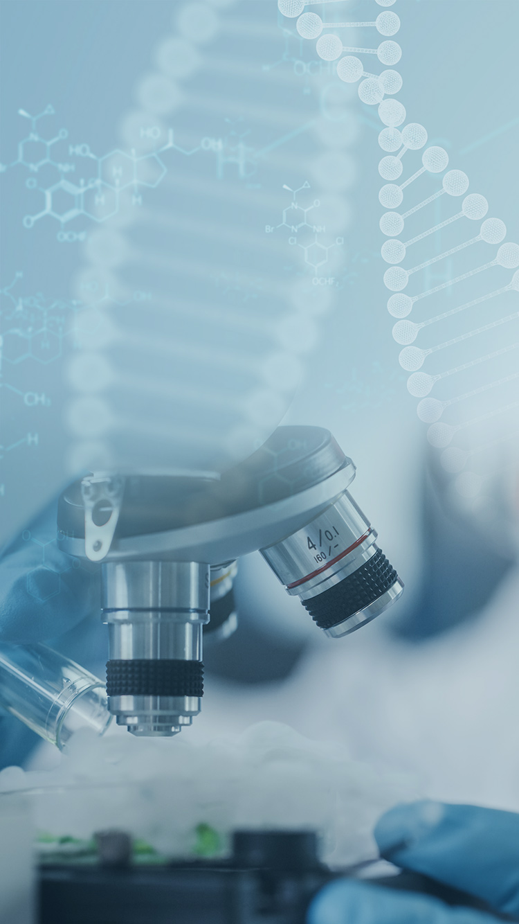 少妇BBB搡BBBB搡BBBB