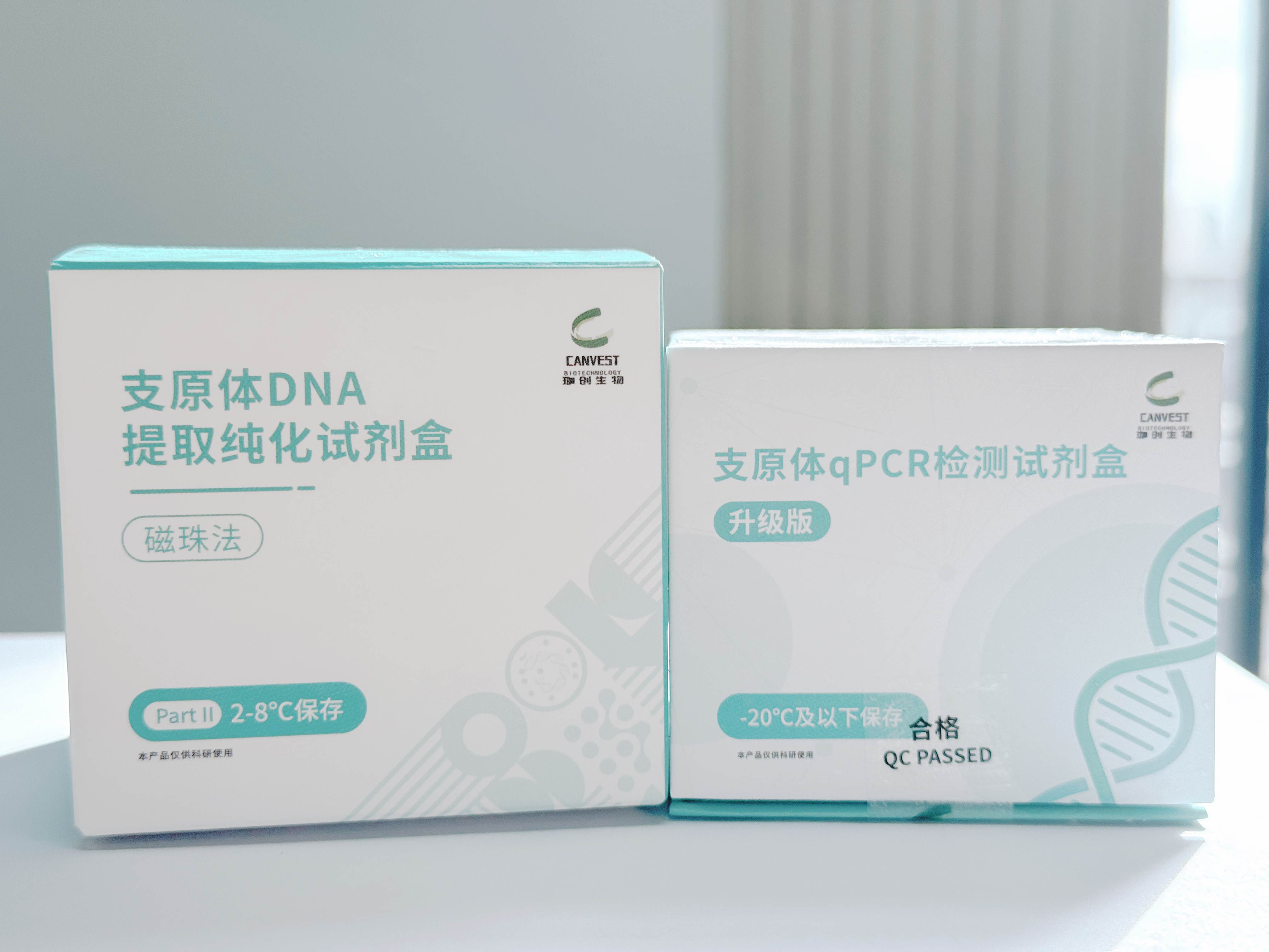 少妇BBB搡BBBB搡BBBB