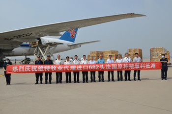 少妇BBB搡BBBB搡BBBB