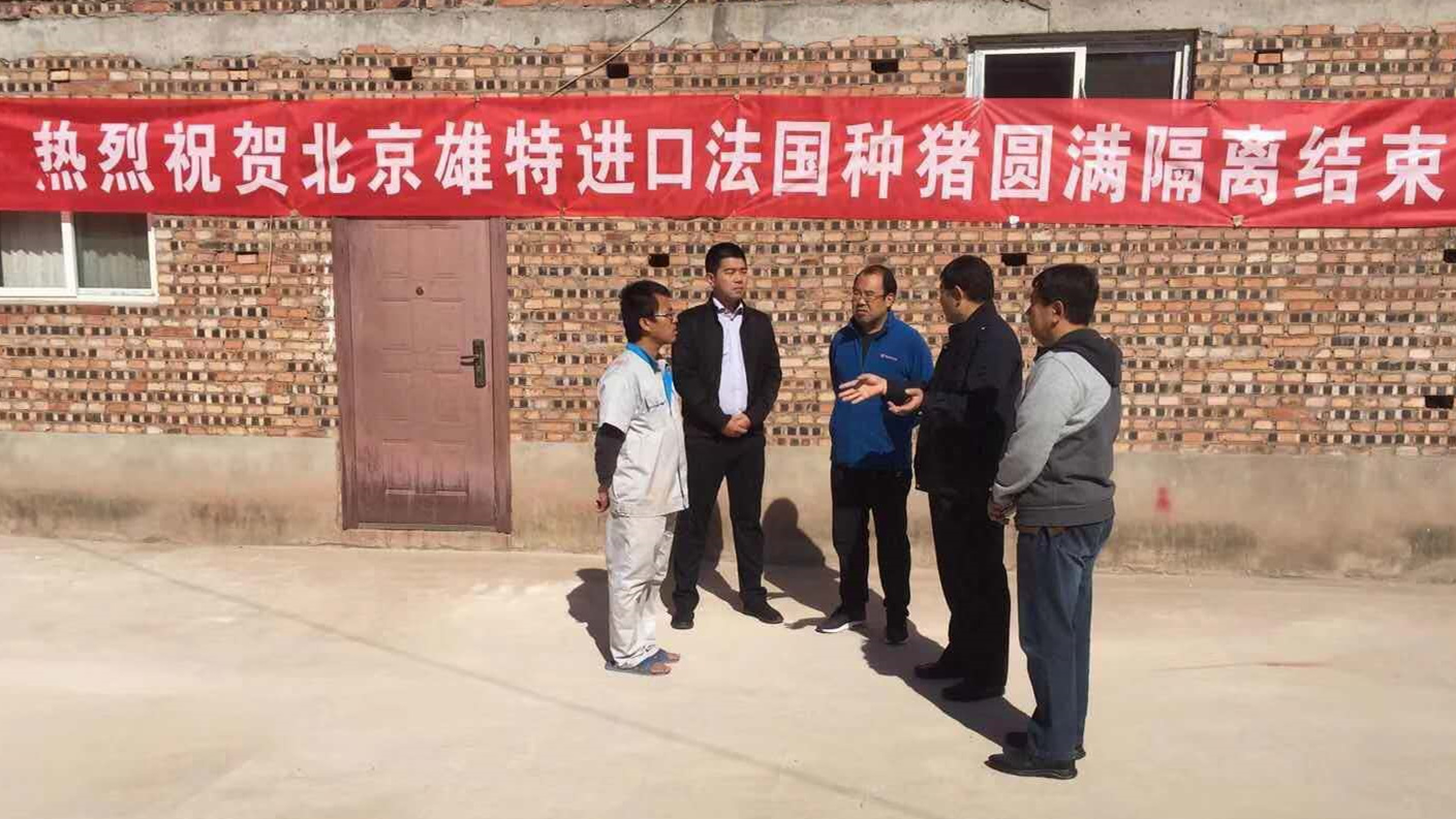 少妇BBB搡BBBB搡BBBB