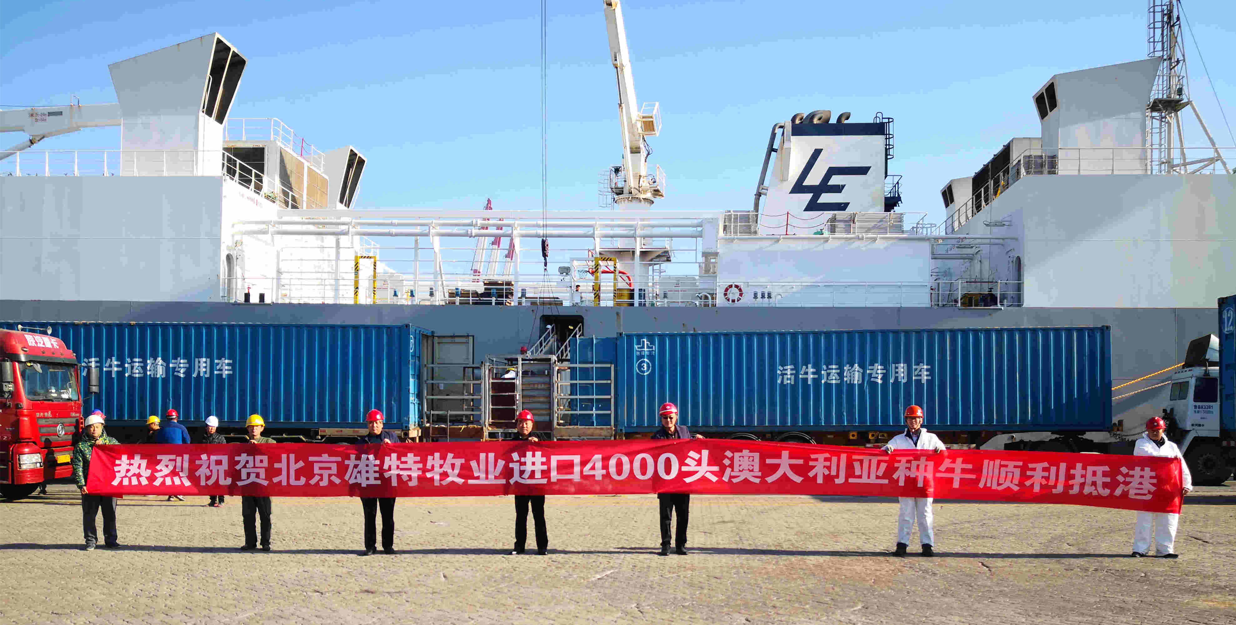 少妇BBB搡BBBB搡BBBB