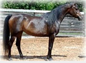 少妇BBB搡BBBB搡BBBB