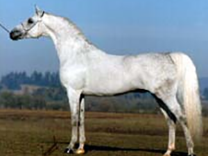 少妇BBB搡BBBB搡BBBB