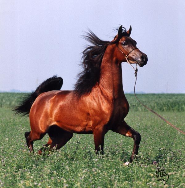 少妇BBB搡BBBB搡BBBB