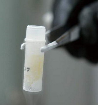 少妇BBB搡BBBB搡BBBB