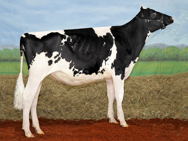 少妇BBB搡BBBB搡BBBB