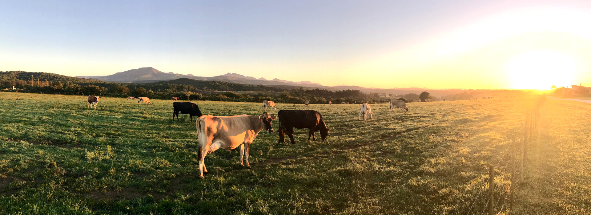 少妇BBB搡BBBB搡BBBB