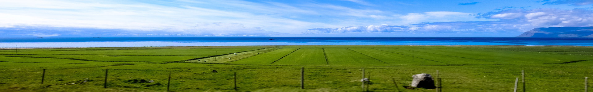 少妇BBB搡BBBB搡BBBB