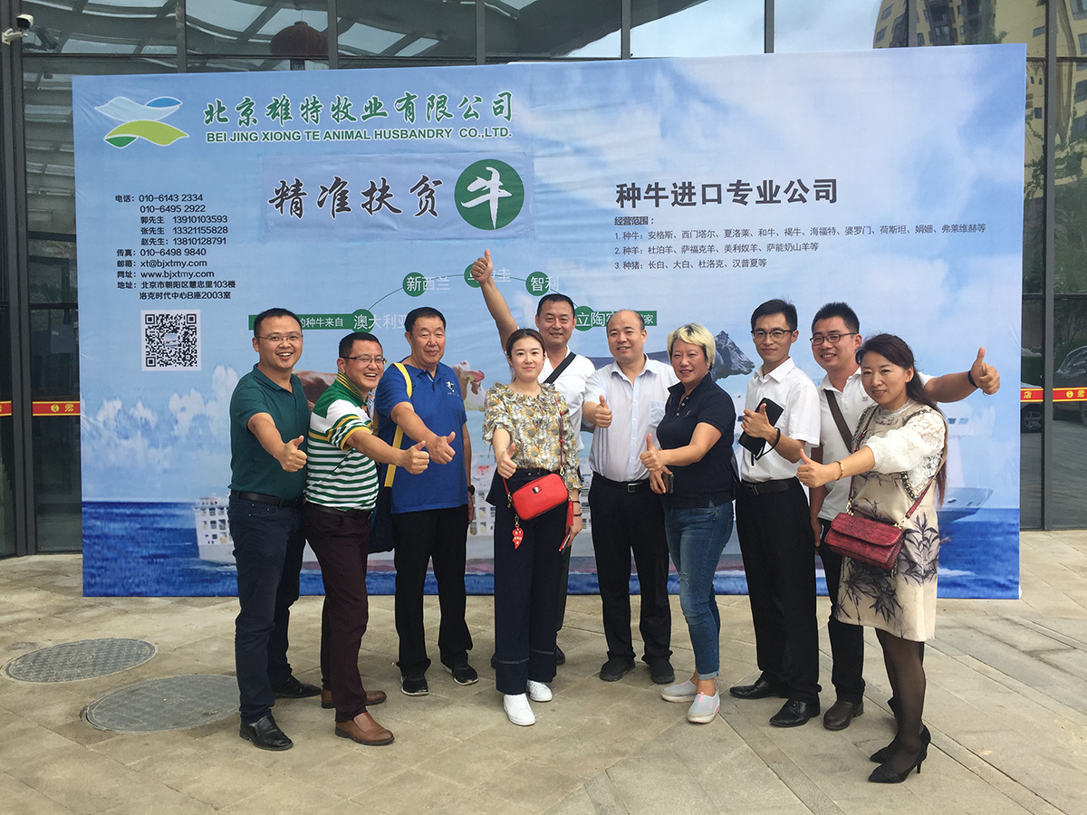 少妇BBB搡BBBB搡BBBB