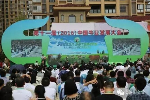 少妇BBB搡BBBB搡BBBB