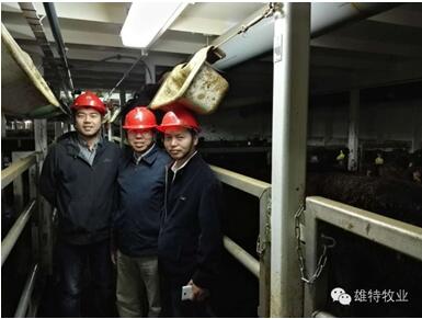 少妇BBB搡BBBB搡BBBB