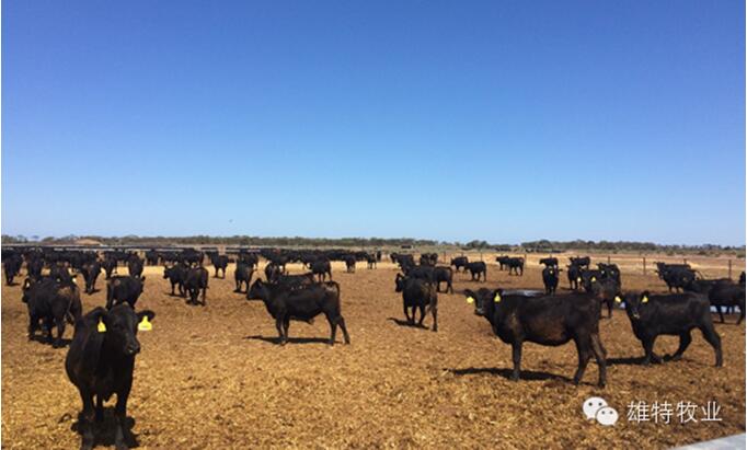 5e0d4e1e15807.jpg 2016050911440405405.jpg