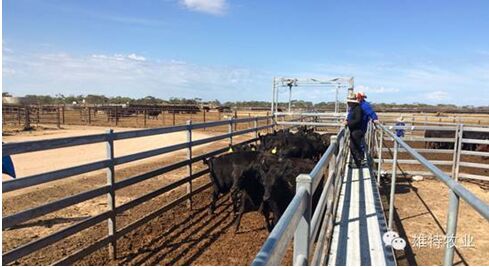 5e0d4e2e17cbf.jpg 20160509114678417841.jpg