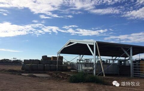 5e0d4e3996153.jpg 201605091146008585.jpg