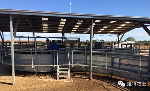 5e0d4e4891c71.jpg 20160509114667586758.jpg