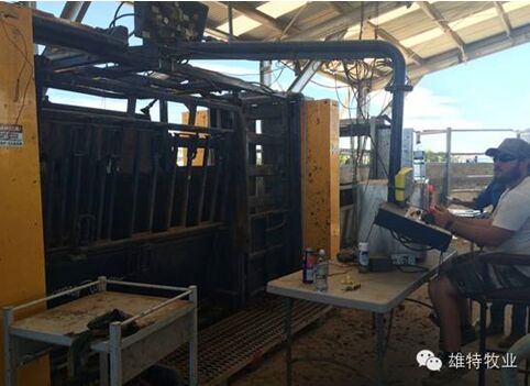 5e0d4e5330dee.jpg 20160509114771247124.jpg