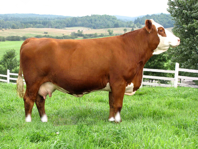 少妇BBB搡BBBB搡BBBB