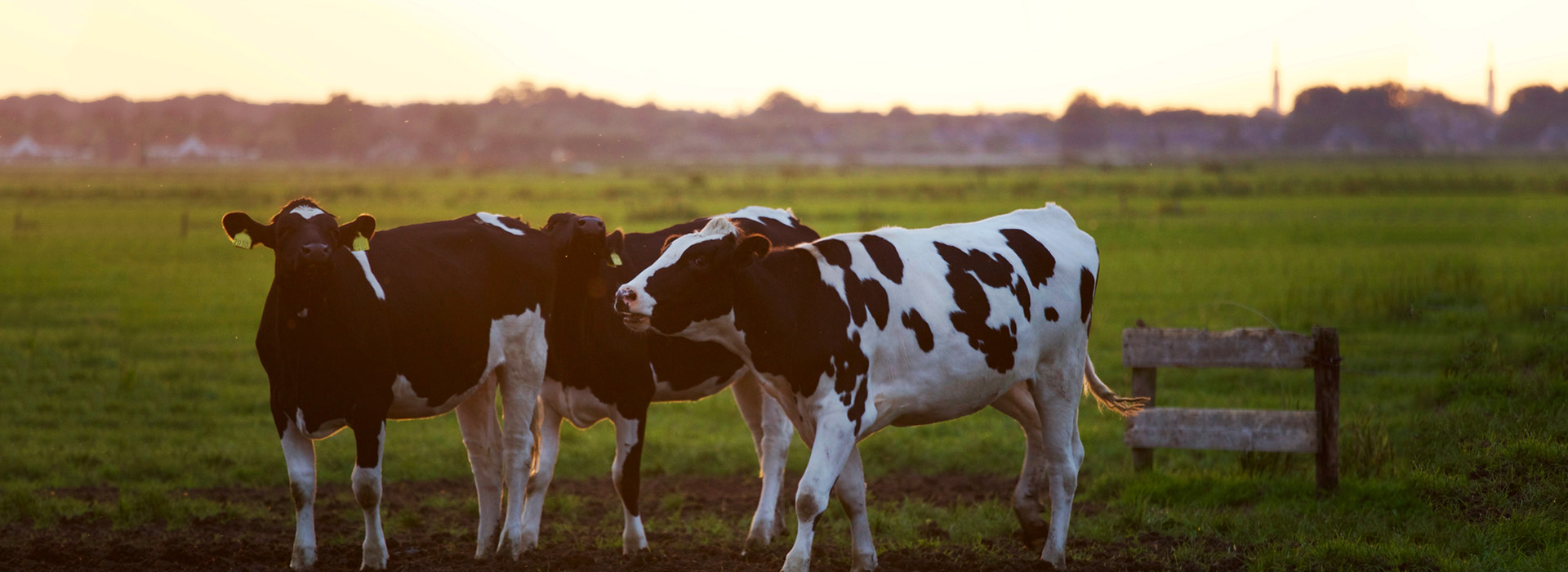 少妇BBB搡BBBB搡BBBB