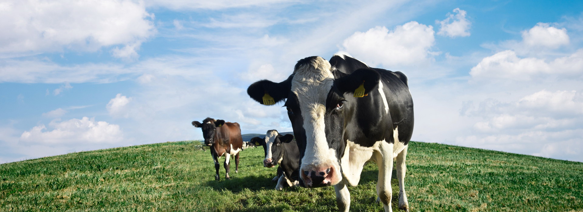 少妇BBB搡BBBB搡BBBB