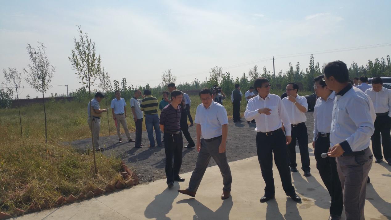 少妇BBB搡BBBB搡BBBB