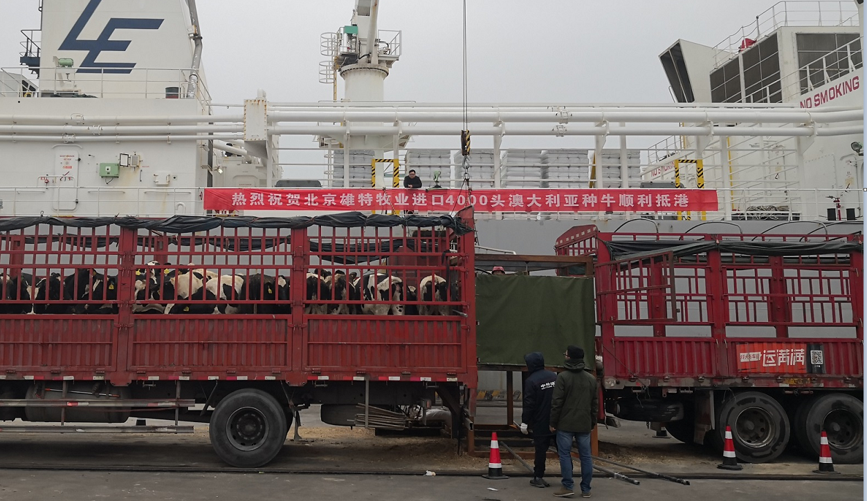 少妇BBB搡BBBB搡BBBB