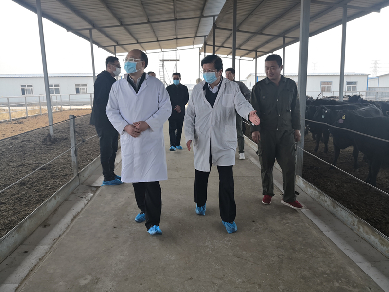 5e98724003bfe.jpg 5e98724003bfe.jpg