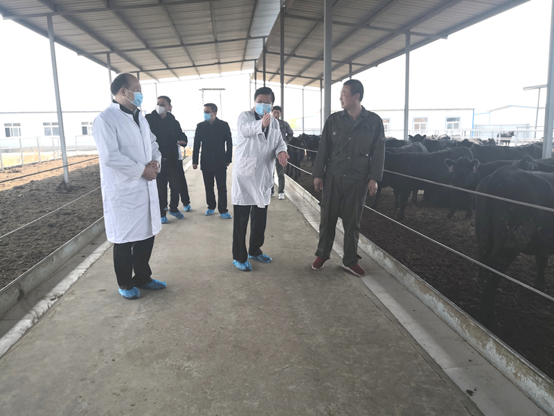 5e98728e89b7f.jpg 5e98728e89b7f.jpg