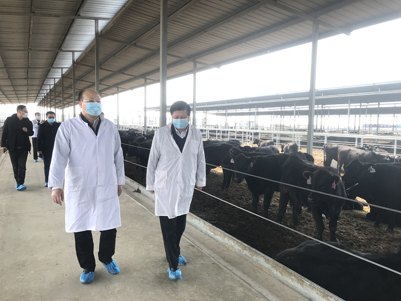 少妇BBB搡BBBB搡BBBB