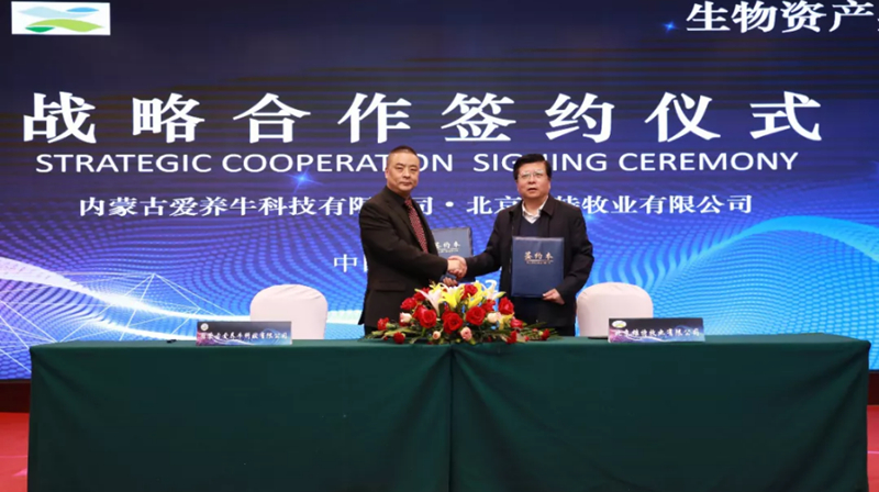 少妇BBB搡BBBB搡BBBB