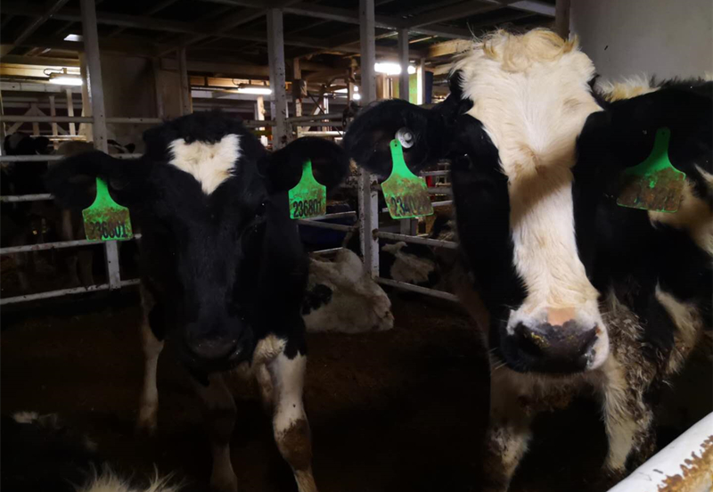 5ec950fcab011.jpg 图7.jpg