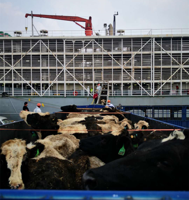 5ec953156c3eb.jpg 图3.jpg