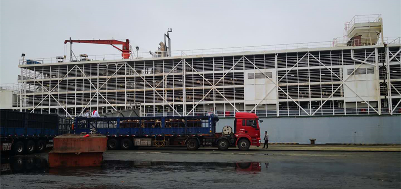 少妇BBB搡BBBB搡BBBB