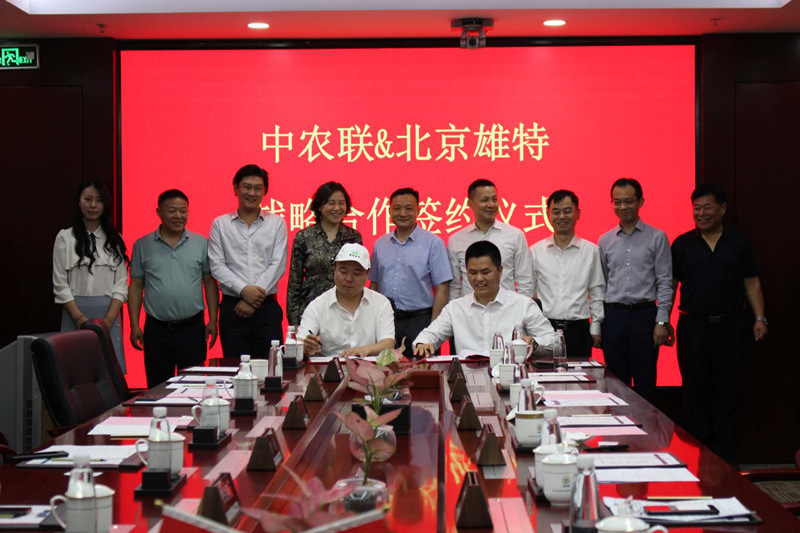 少妇BBB搡BBBB搡BBBB