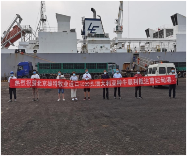 少妇BBB搡BBBB搡BBBB