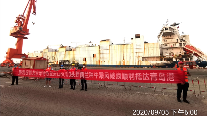 5f5498bb97300.jpg 图1_副本_副本.jpg