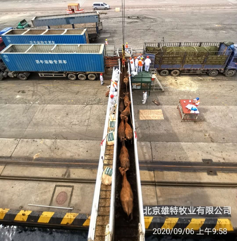 5f549913d2b33.jpg 图3_副本.jpg