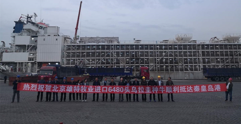 少妇BBB搡BBBB搡BBBB