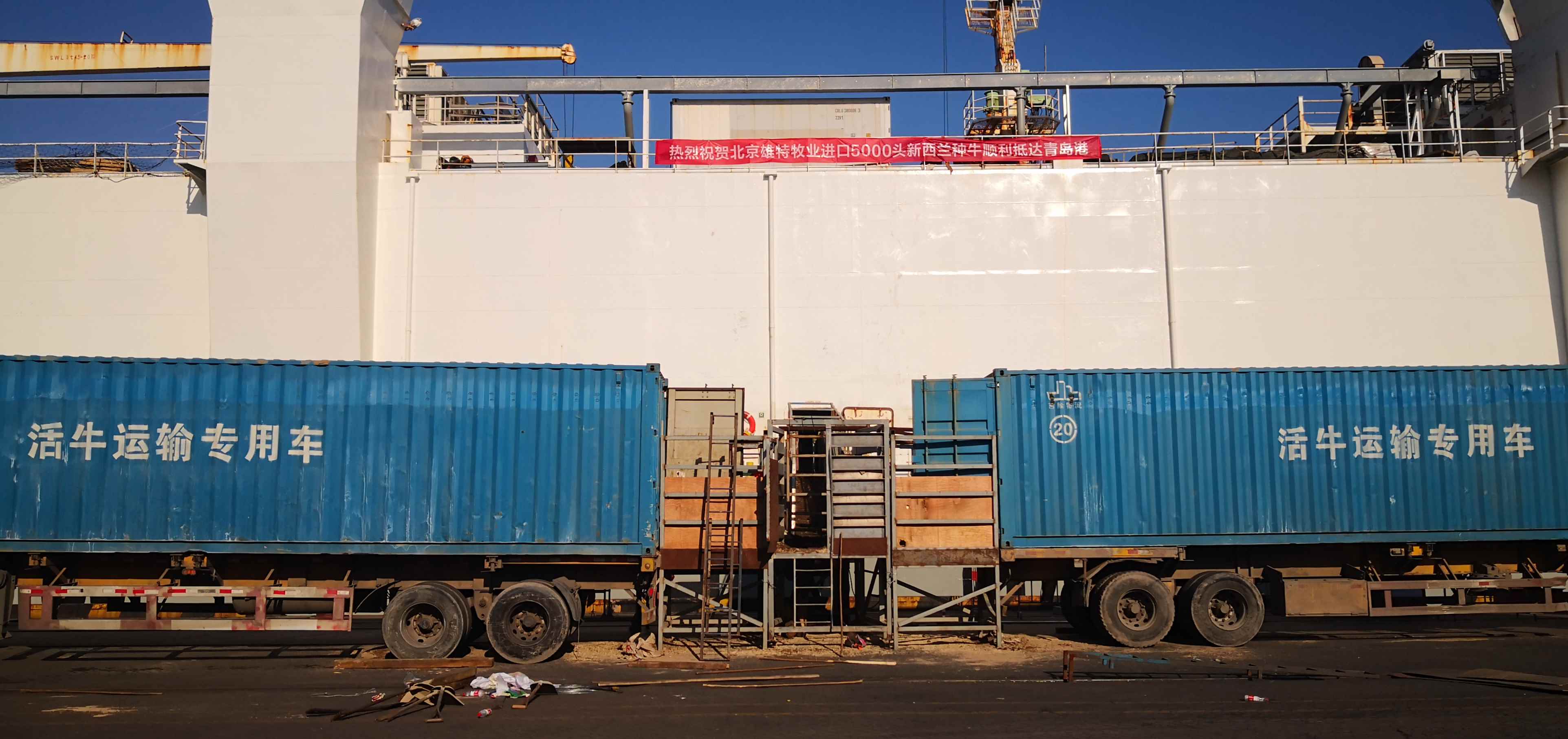 少妇BBB搡BBBB搡BBBB