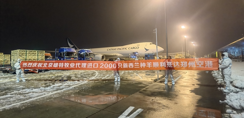 少妇BBB搡BBBB搡BBBB