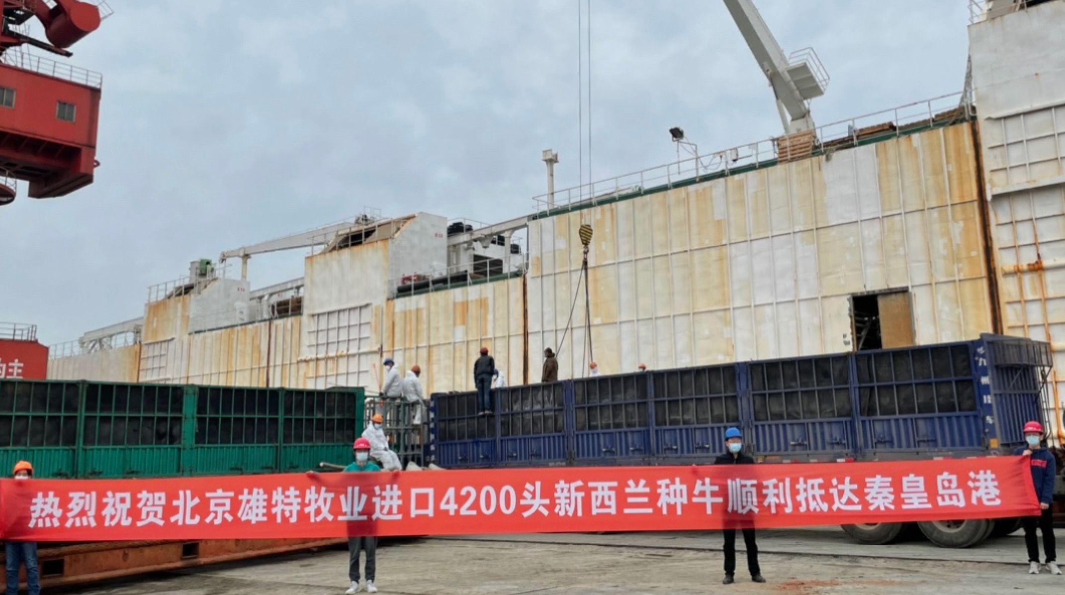 少妇BBB搡BBBB搡BBBB