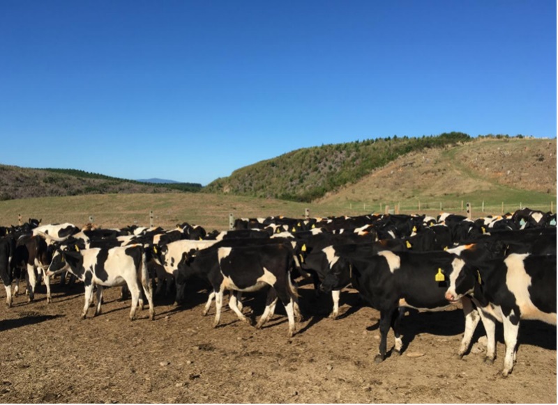 608bccf89ce02.jpg 2.jpg