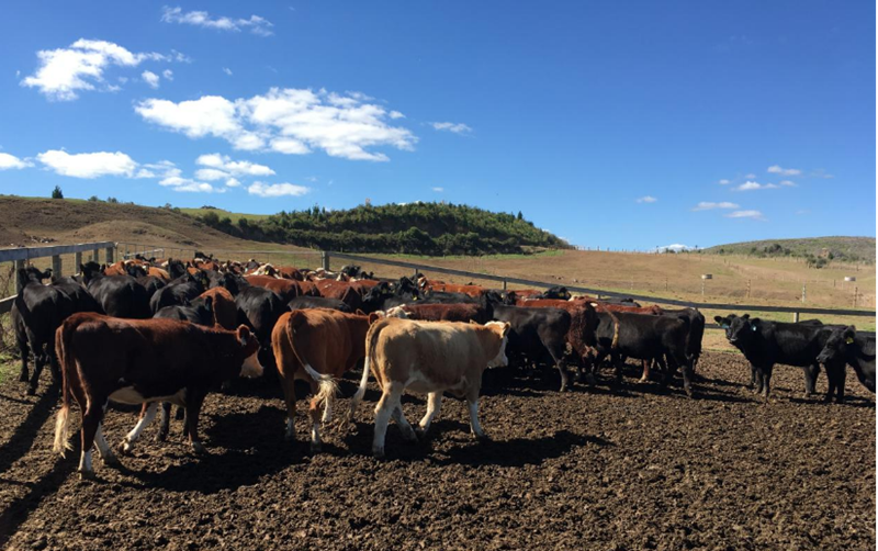 608bcd049b4b4.png 3.png