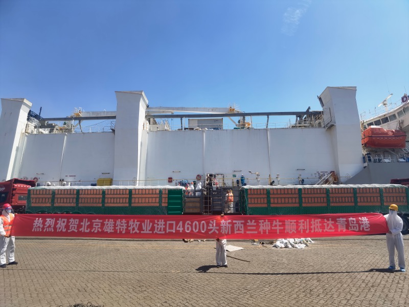 少妇BBB搡BBBB搡BBBB