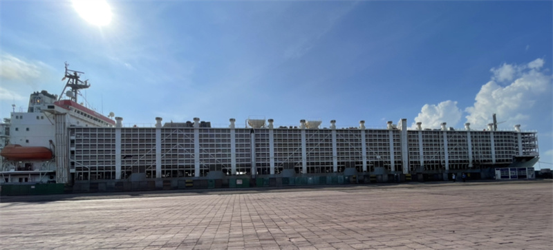 少妇BBB搡BBBB搡BBBB