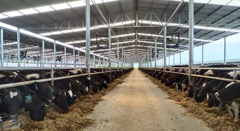 少妇BBB搡BBBB搡BBBB