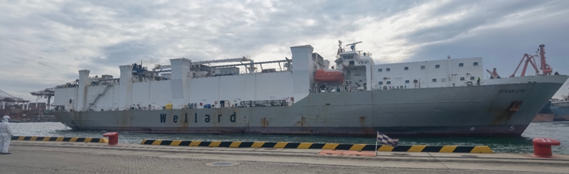 少妇BBB搡BBBB搡BBBB