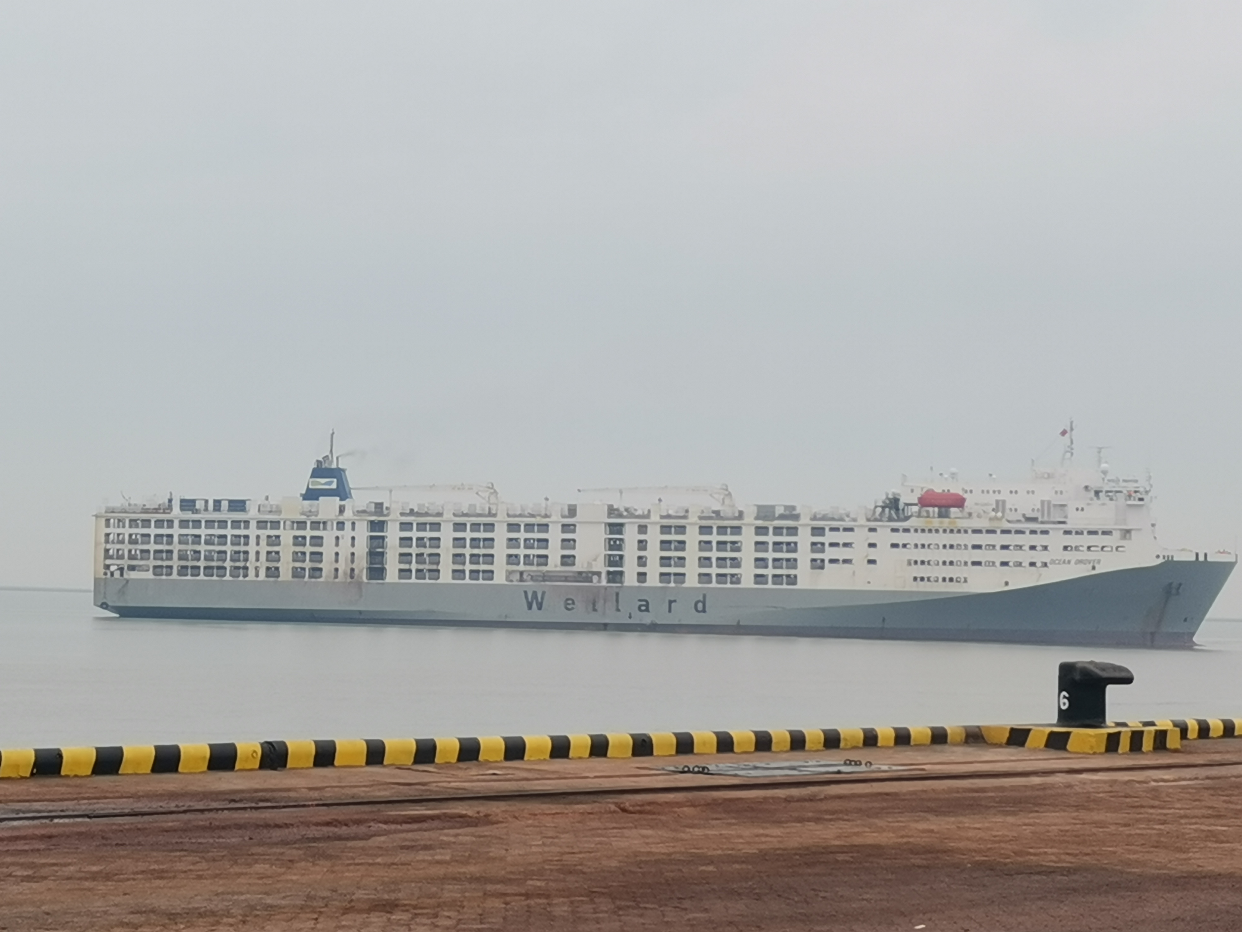 少妇BBB搡BBBB搡BBBB