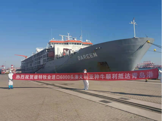 少妇BBB搡BBBB搡BBBB