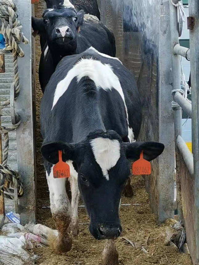 微信图片_202112271421151640587727.jpg 微信图片_202112271421151640587727.jpg